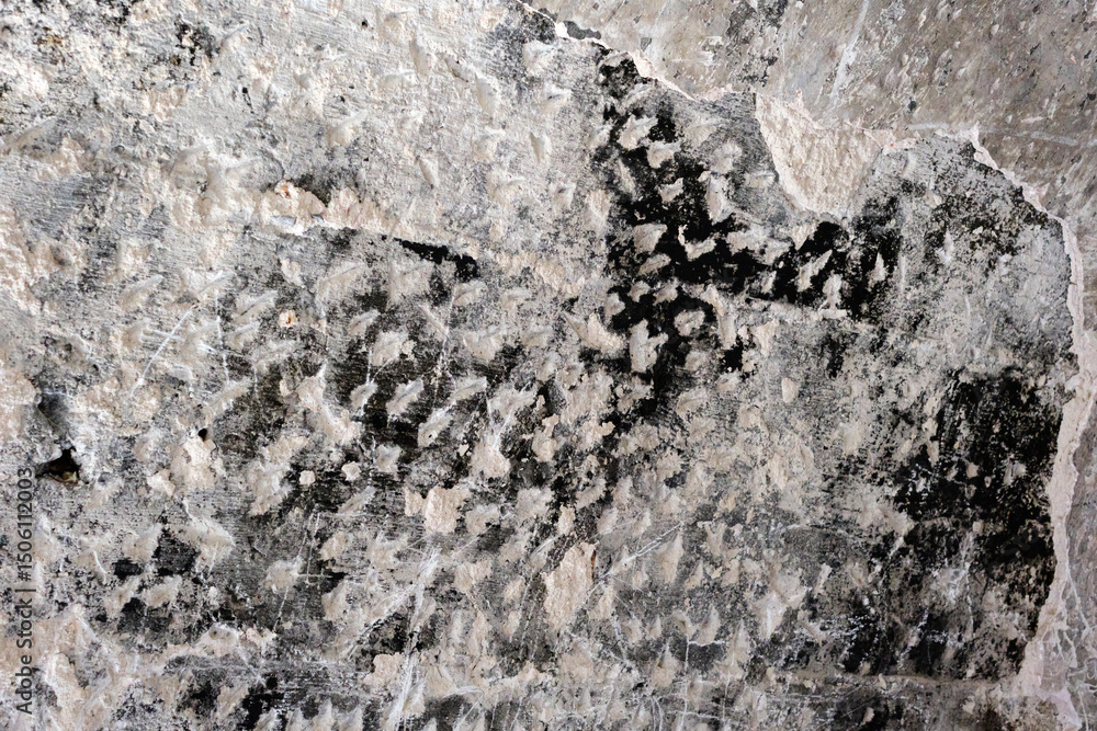 Fototapeta premium Textured stone surface with natural patterns and weathered details