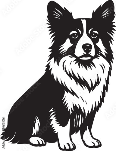 Cardigan welsh corgi sitting black silhouette, Calm dog illustration seated posture