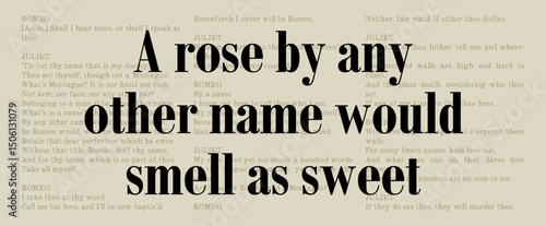 A Rose by Any Other Name Would Not Smell as Sweet - Romeo and Juliet - Famous William Shakespeare Quote. Classic Literature Typographic Artwork