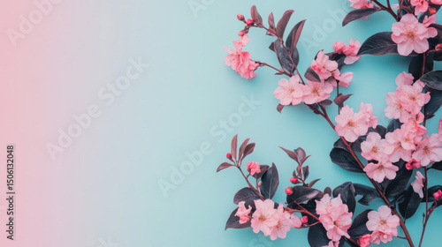 Floral Serenity: A gentle arrangement of delicate pink blossoms graces the scene against a soothing blue backdrop, evoking feelings of serenity and natural beauty.