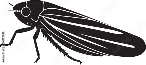 Leafhopper insect black silhouette design, Stylized leafhopper minimal vector insect