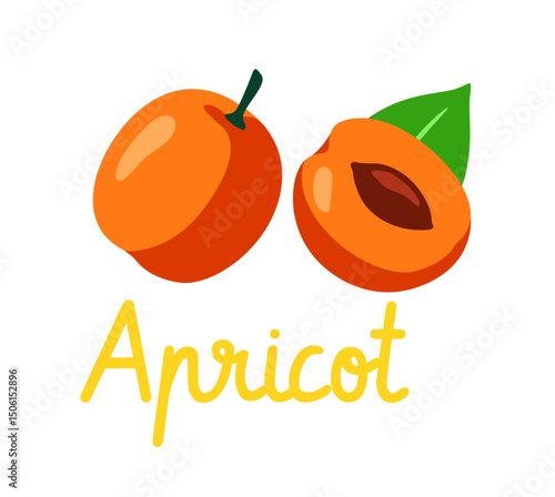 Two apricots, one whole and one halved with visible pit and leaf, in a flat cartoon style on a white background. Concept of healthy fruit. Vector illustration