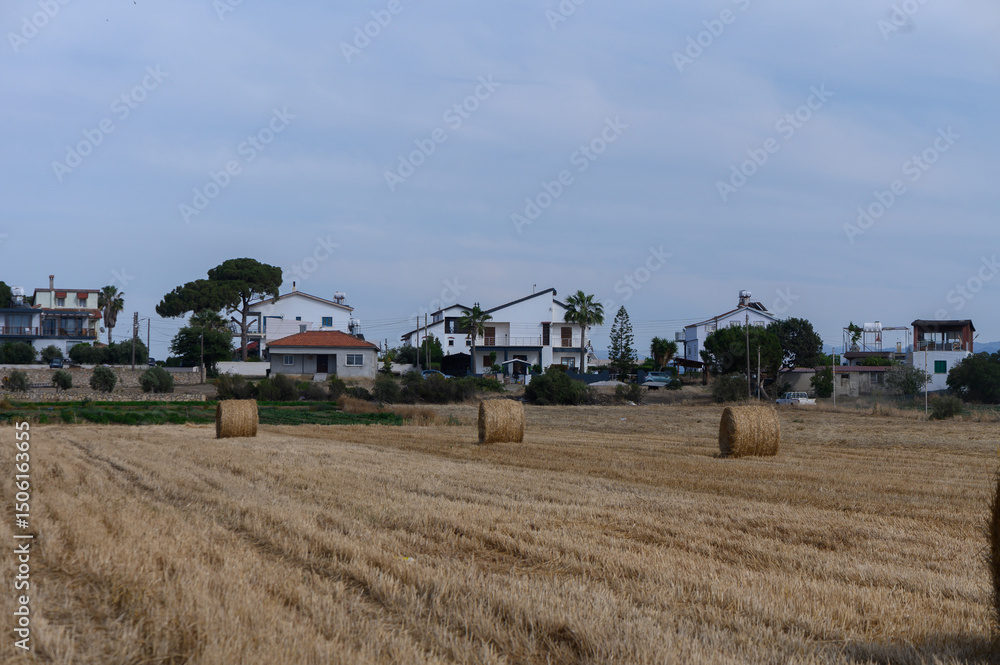 Fototapeta premium Hay Bales on a Field in Cyprus
