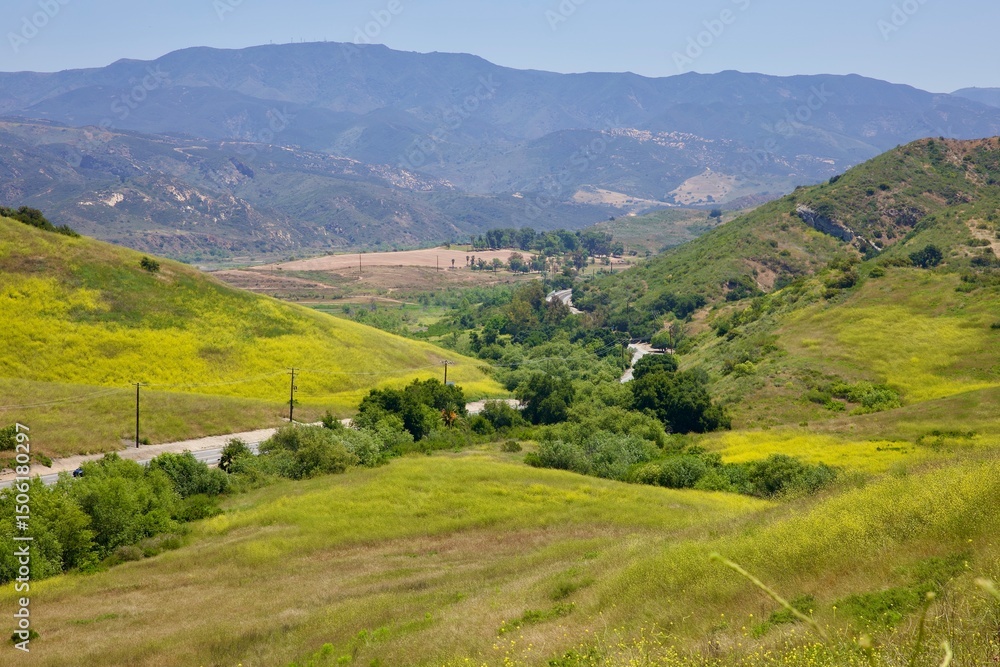 Fototapeta premium country road through the canyon wildflowers