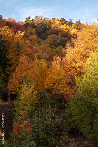 Colorful Autumn, China Muerta
