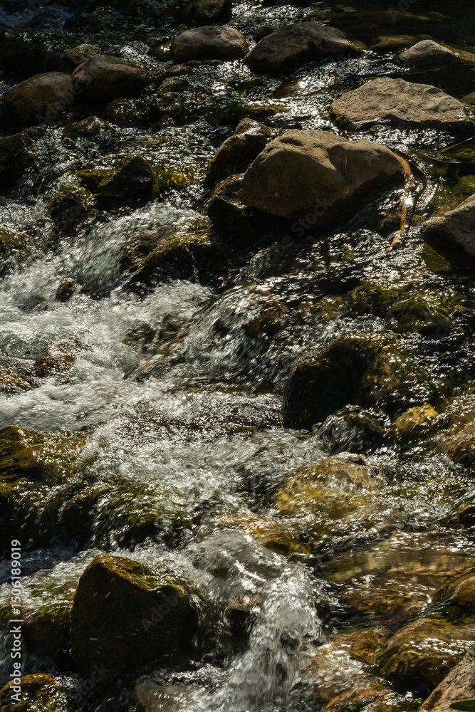 Fototapeta premium Natural stream water flows over smooth rocks. This image is suitable for nature, environment, or relaxation concepts.