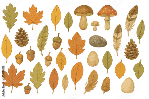 Autumn leaves, mushrooms, and acorns create a colorful nature display perfect for seasonal crafts and decorations