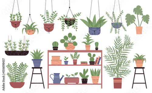 Great amount variety plants in pots flat design vector illustration set isolated on white background. Different indoor space size decoration elements. Houseplants on stand, on shelves, hanging, floor