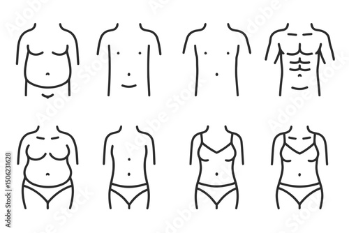Vector illustration showing different body types for males and females in a line drawing style image format on transparent background
