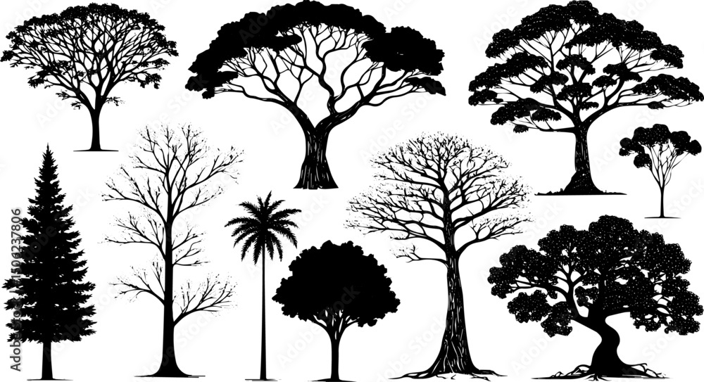 Fototapeta premium Stylized Tree Silhouettes Collection, Deciduous, Evergreen, Tropical, and Artistic Trees for Nature and Landscape Design