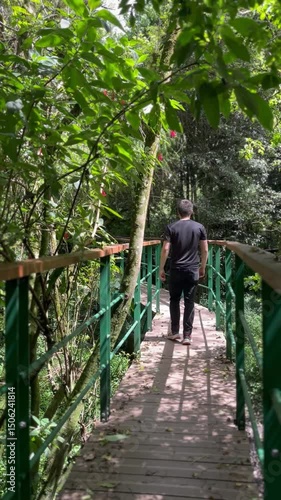 walking in the woods