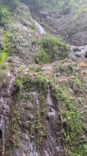 stream in the mountains