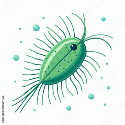 plankton vector illustration