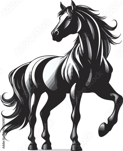 The stallion raised its front hooves in a handsome black and white vector