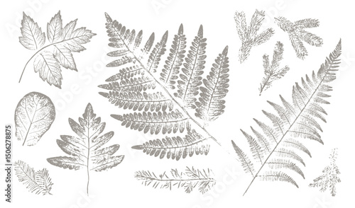 Trendy floral branch and grass for logo or decorations. Hand drawn line elegant leaves for invitation card. Botanical rustic trendy vector art.