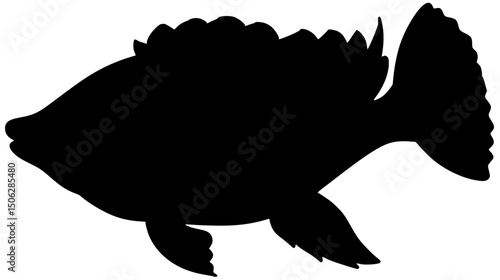 Blue Tilapia Fish Silhouette Shadow Vector