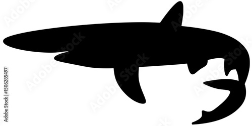 Blue Shark Silhouette Shadow Vector