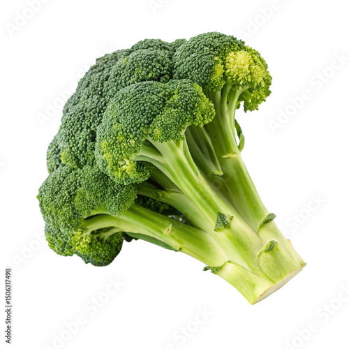 Photos broccoli isolated PNG or Transparency Background