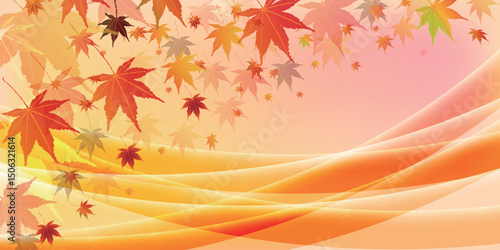 紅葉　もみじ　秋　背景	