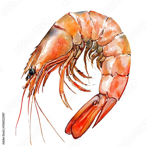 watercolor vector of Cajun Shrimp, high quality, isolated on a white background.