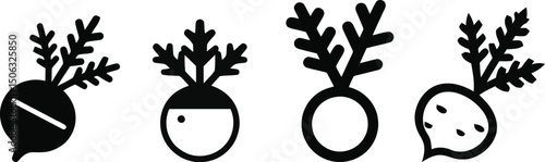 Vector Illustration Set of Celeriac on White Background

