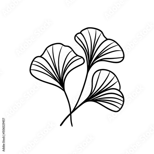 Ginkgo Biloba Branch