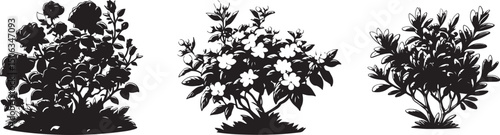 Black and white silhouette of grass and reeds in the wind with a floral forest pattern