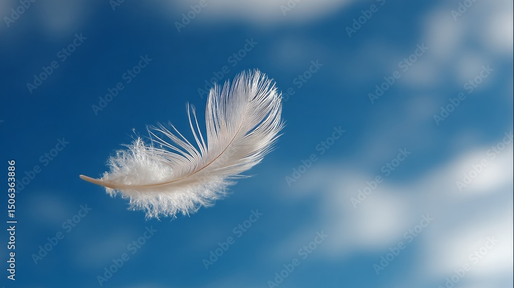 white feather floating on blue sky. white feather floating on blue sky.