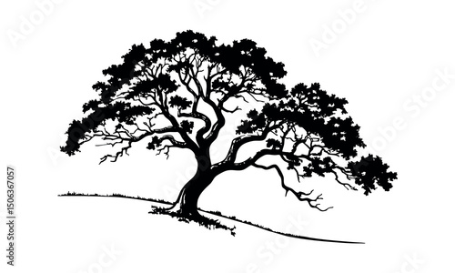 Tree silhouette vector. with white background.