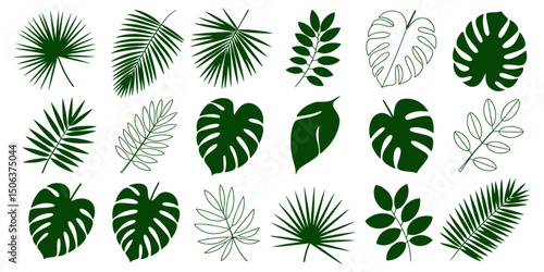 A vector set of green cannabis plant leaves, a natural symbol of organic design and medicine
