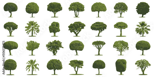 Vector tree set isolated, a collection of nature's seasonal elements and plant icons for forest design