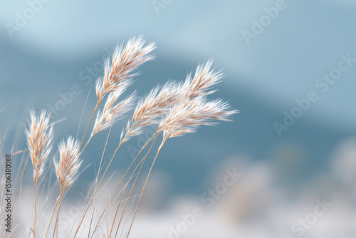 serene nature scene featuring delicate thin lines and soft shadows essence of tranquility