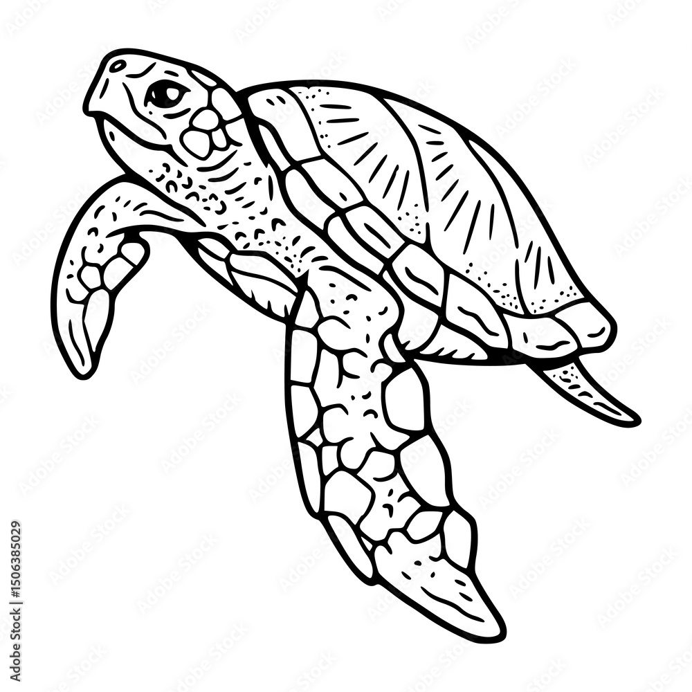 Naklejka premium vintage sea turtle illustration