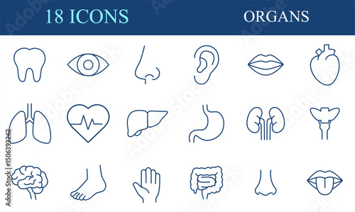 Human Organs Icon Set. Human Organs Thin Line Illustrations. Editable Vector Signs Collection