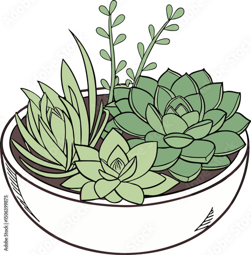 Hand-Drawn Succulent Plants in Ceramic Pot – Minimalist Botanical Illustration