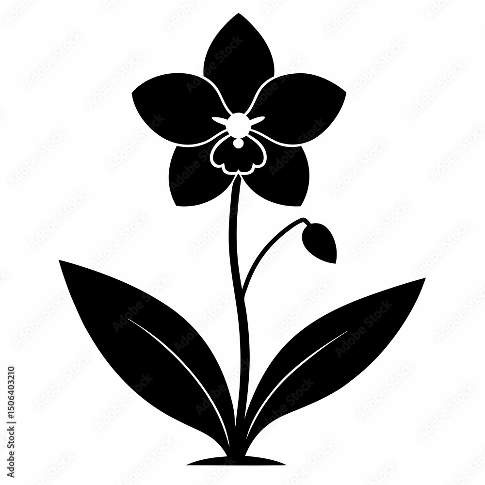 Obraz premium black and white flower