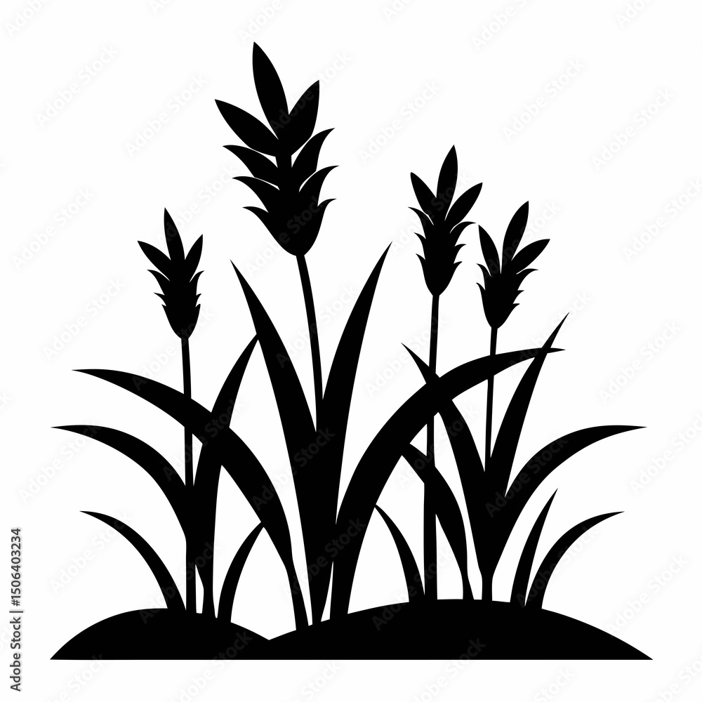 Obraz premium plant in a vase