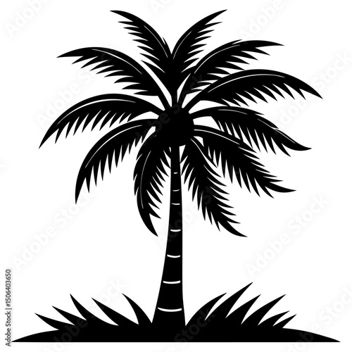 palm tree silhouette
