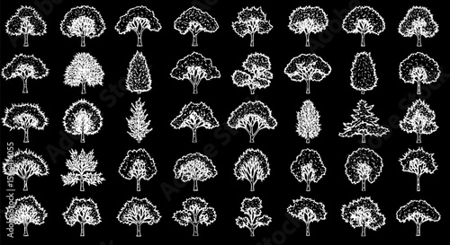 40 Hand-Drawn White Tree Silhouettes on Black Background Vector Illust