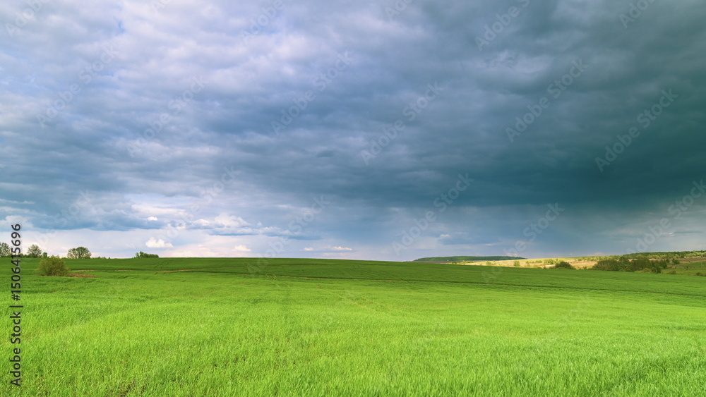 Obraz premium The Serene Green Fields Lie Under a Dramatic and Beautiful Cloudy Sky Above Them Time lapse.