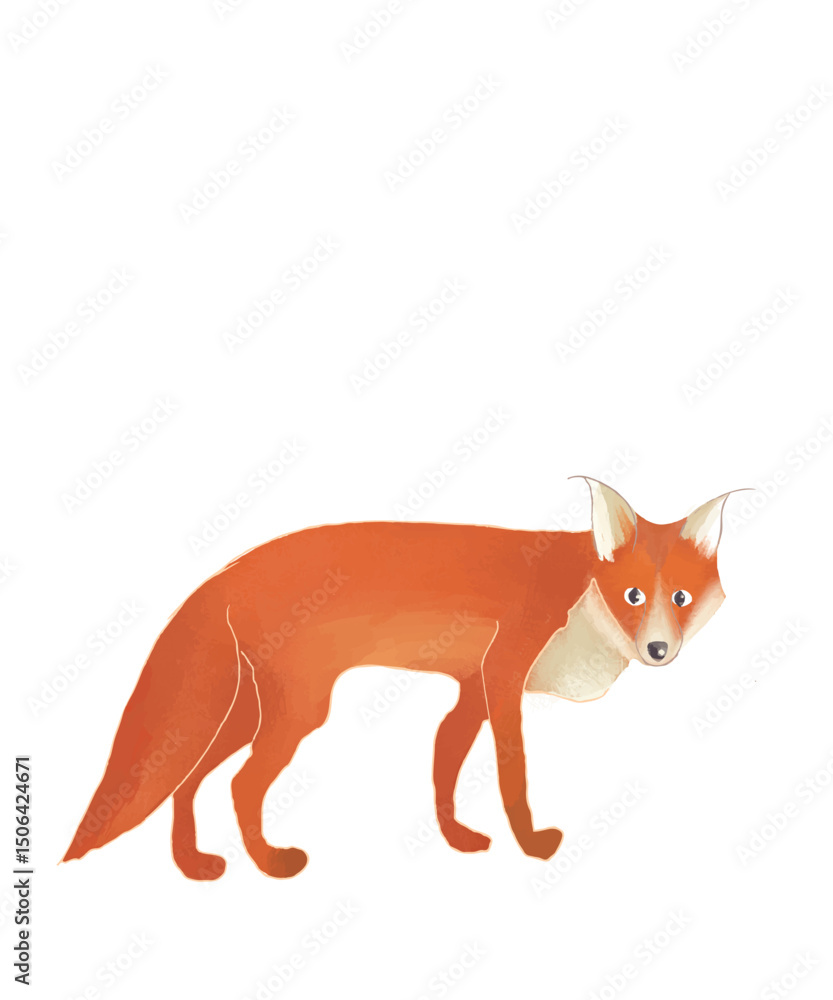 Fototapeta premium Hand-Drawn Red Fox Clipart – Forest Animal Illustration on White Background