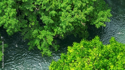 Принти на полотні Captured from above, the scene portrays a tranquil river winding through dense, green foliage, with glimmering water reflecting the sunlight, emphasizing the peacefulness of the forest
