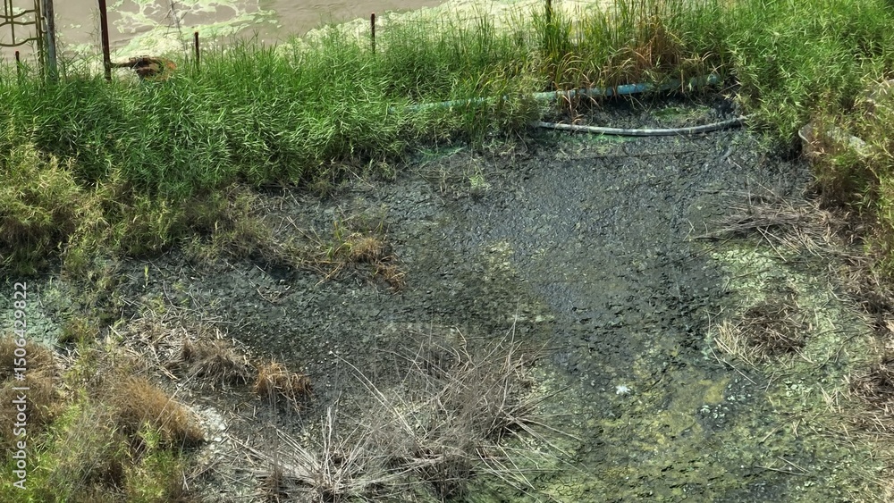 Obraz premium Aerial shot reveals cracked green and yellow earth with sparse vegetation, indicating severe chemical contamination from industrial discharge. 