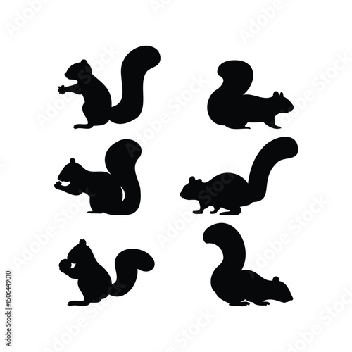Black Squirrel Silhouette Vector Set Featuring Sitting Running Jumping and Standing Poses for Logos Cut Files and Printable Designs on White Background