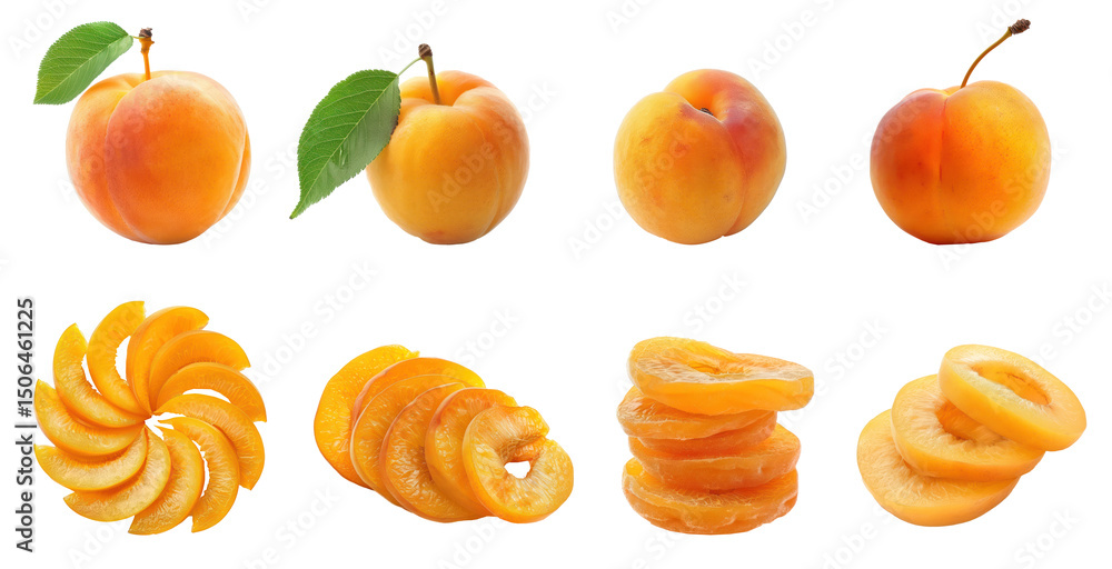 Collection of Apricot slices top view full length isolate on transparent background Collection of Apricot slices top view full length isolate on transparent background