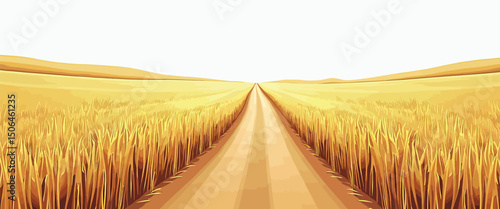 Road through golden wheat field vector simple 3d smooth isolated on white background