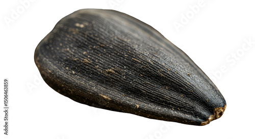 Wallpaper Mural Isolated Macro Photo of a Sunflower Seed Against a Transparent Background Torontodigital.ca