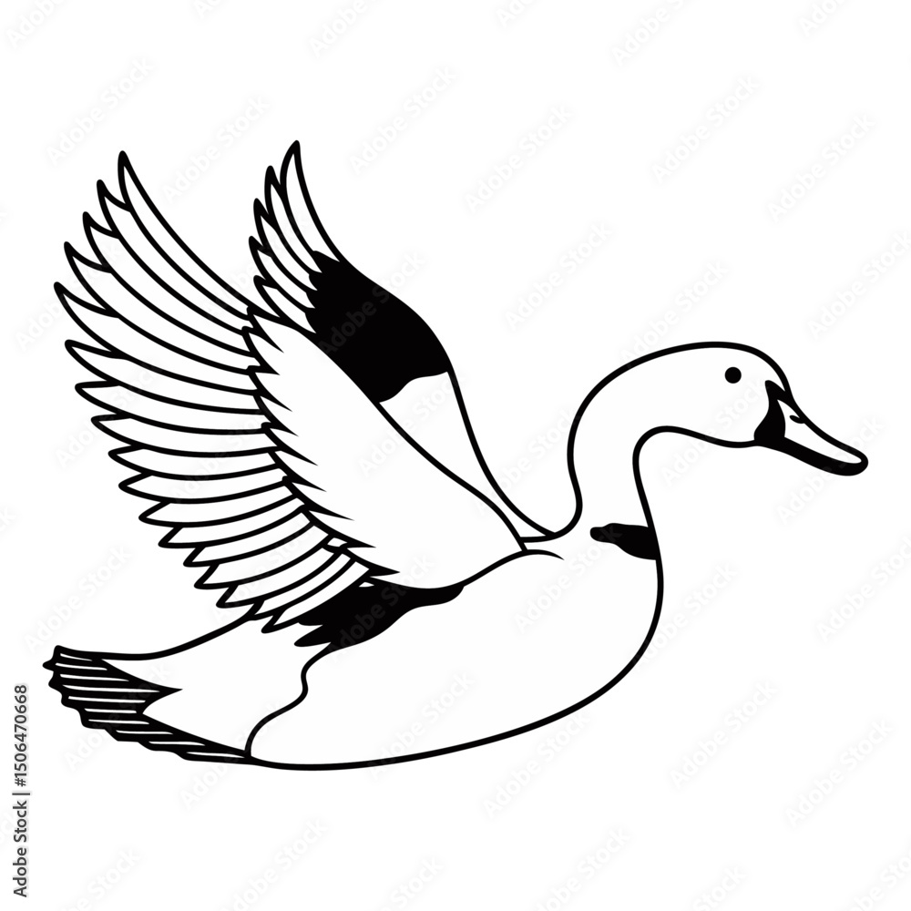 Fototapeta premium Detailed Duck Artwork Vector Illustration