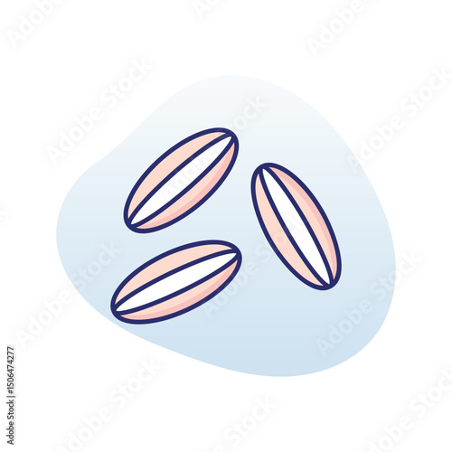 Cumin  Vector icon