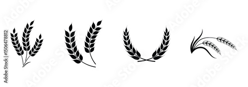 Wheat ears or rice icon. Wheat silhouette collection. Ear of wheat symbols. Vector illustration isolated on white background.